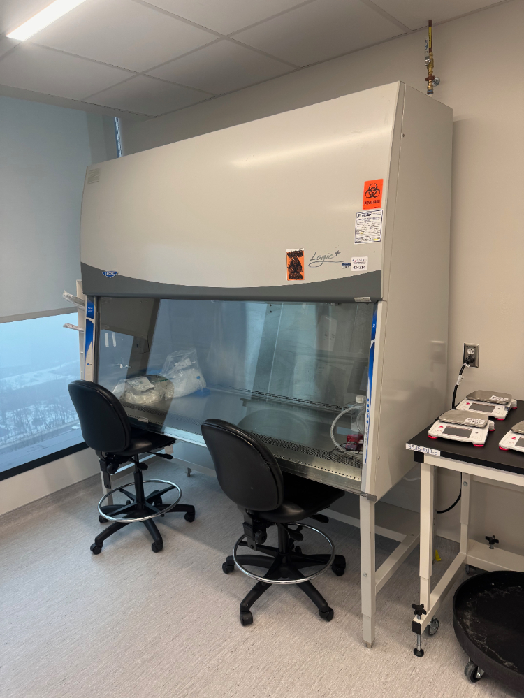 Image of Labconco Logic+ 6' BioSafety Cabinet